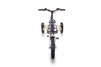 ENVO Cargo Trike front view showing the cargo platform.