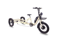 ENVO Cargo Trike front frame corner detail.