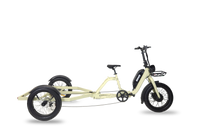 ENVO Cargo Trike side frame detail.