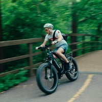 VTUVIA Gemini dual-battery electric bike frame and drivetrain view