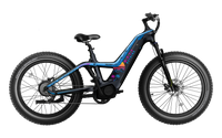 Heybike Hero carbon-fiber full-suspension fat-tire electric mountain bike with two motor configurations (1000W rear hub or 750W mid-drive with torque sensor), step-thru or step-over frame geometry, Shimano 9-speed gearing, hydraulic disc brakes, and UL 2849 certified electrical system