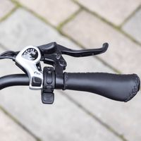 MG2302-SILVERADO right brake lever and gear controls close-up