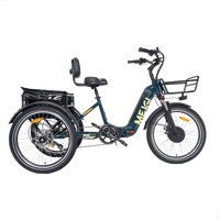 Green DWMEIGI MG2302-SILVERADO electric tricycle, left-side profile