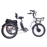 White DWMEIGI MG2303-BLAZER electric trike full side profile