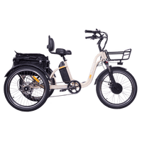 Champagne DWMEIGI MG2303-BLAZER electric trike side profile