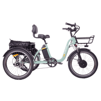 Green DWMEIGI MG2303-BLAZER electric trike side profile