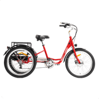 Red DWMEIGI MG708-HERA low-step electric trike full profile