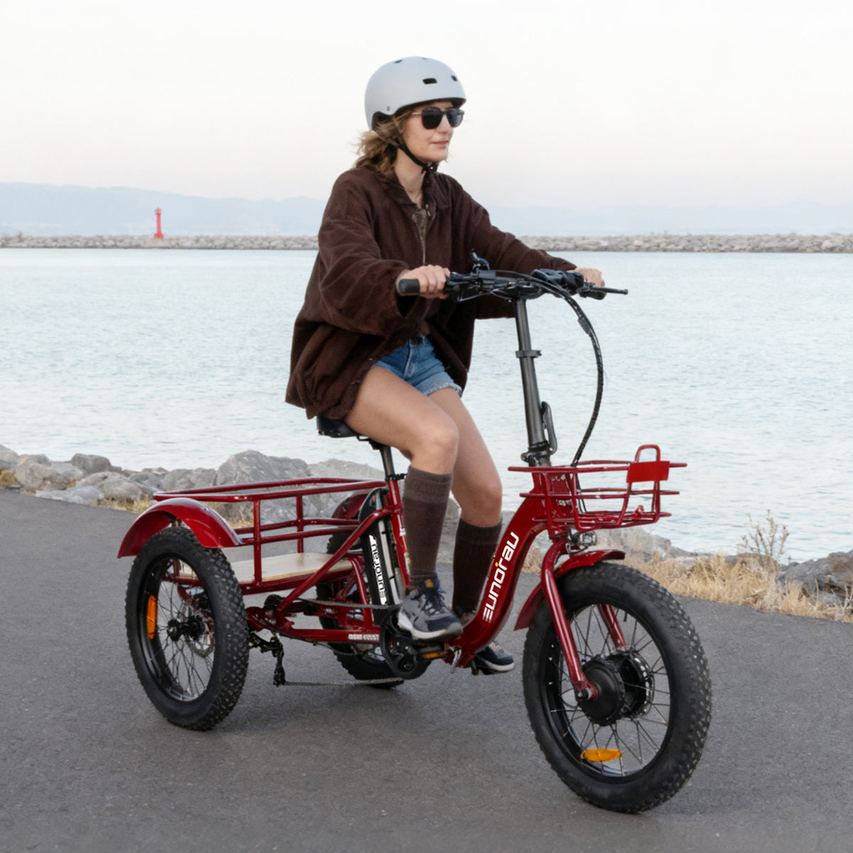 EUNORAU NEW-TRIKE 2.0 shown with upright seating and front and rear cargo baskets