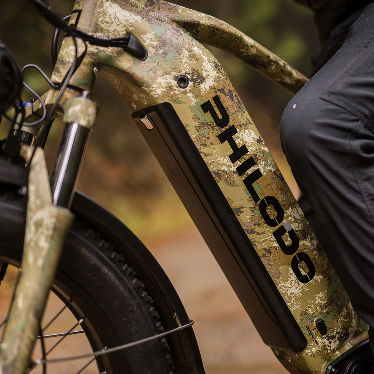 Philodo Falcon 60V Dual Motor Electric Bike, official Philodo image 27