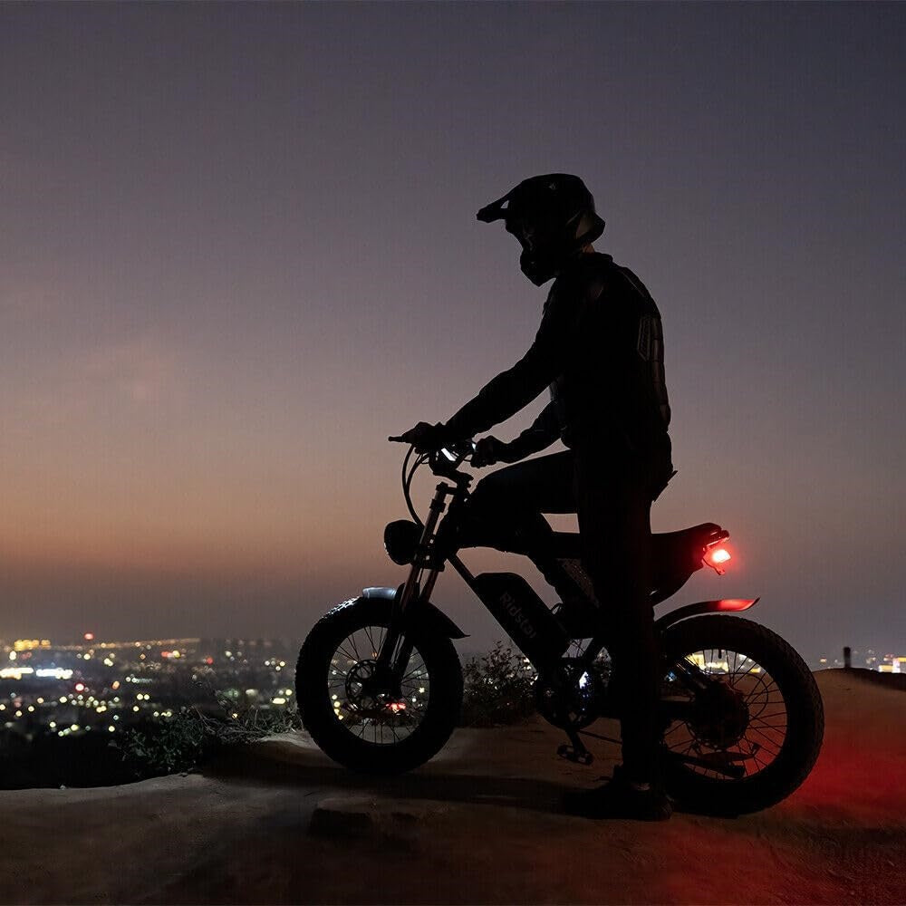 Ridstar Q20 Lite Fat-Tire Electric Bike cockpit and controls