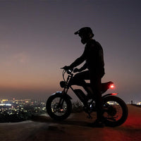 Ridstar Q20 Lite Fat-Tire Electric Bike cockpit and controls