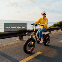 VTUVIA SF20H folding e-bike for commuting