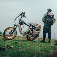 VTUVIA SX20 750W electric bike capacity feature graphic