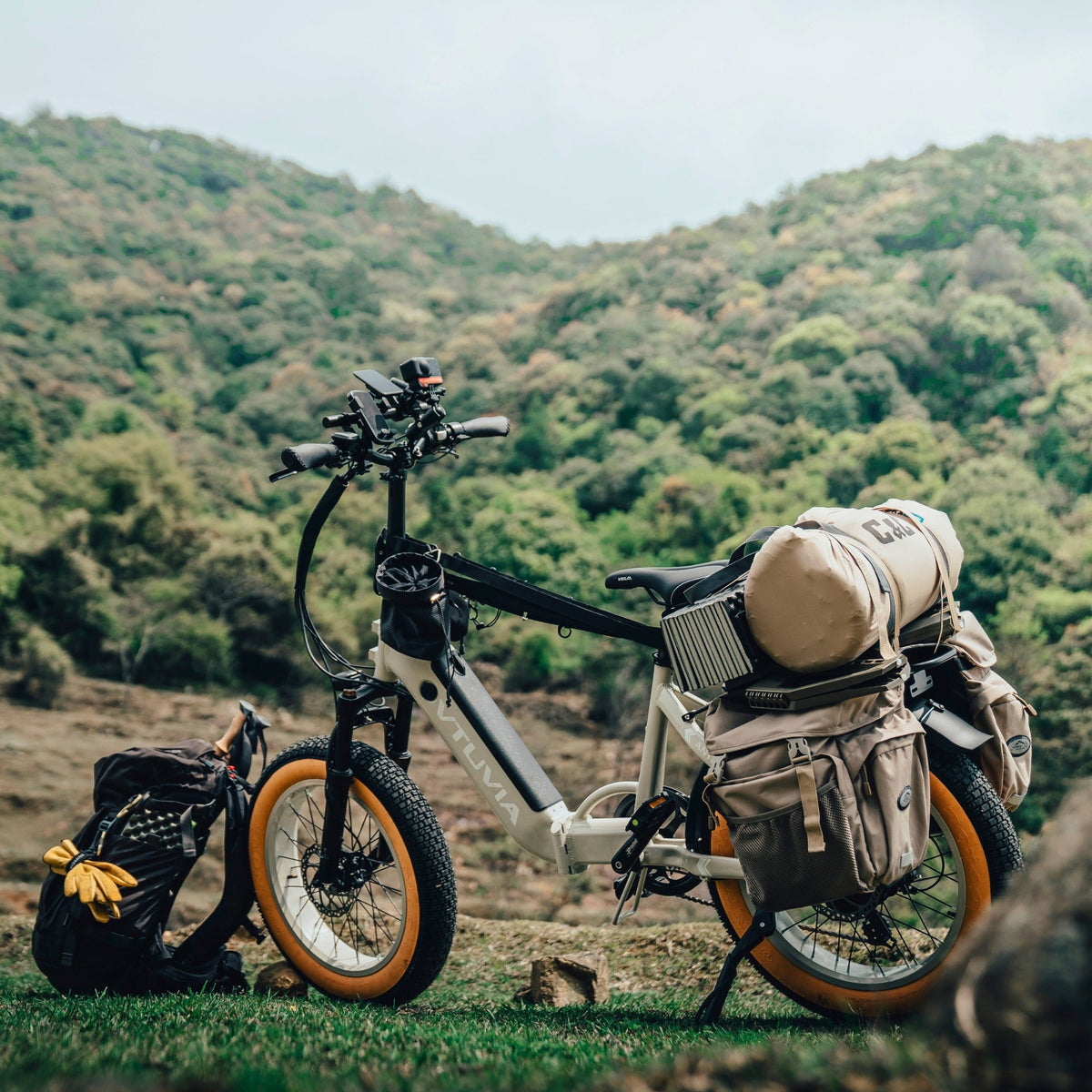 VTUVIA SX20 folding electric bike rear angle