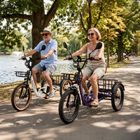 Two VTUVIA E-COZY riders on a park path